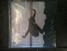 Pearl Jam Eddie Vedder Vinyl Into The Wild
