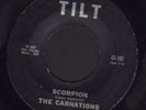 The Carnations 