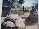 PAMA   AFRICAN MELODY   VARIOUS ARTISTES   PMP 2004