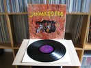 ANIMATED EGG - S/T US ORIG 1967 EXPLOITO PSYCH LP