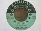 RUBY ANDREWS just loving you ZODIAC northern soul 45
