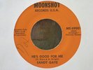 SANDY GAYE on MOONSHOT 6900 rare funk soul 45 Hear