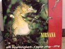 Rare Nirvana All Apologies Rape Me MV 12