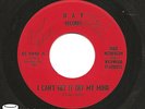 Fred Netherton & Wildwood Playboys 45 Rare Rockabilly Bop (Dixie, Starday...)