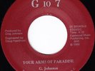 Unknown 70s Soul 45 - Greg Johnson 