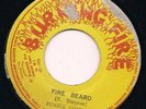 FIRE BEARD - EUNICE SIMPSON