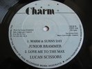JUNIOR BRAMMER Warm & Sunny Day CHARM 12