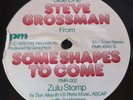 STEVE GROSSMAN-ZULU STOMP Obscure Deep Jazz Funk LISTEN