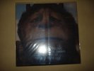 Where The Wild Things are Lp Karen O & the Kids deerhun