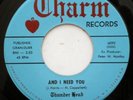 THUNDER HEAD Charm 6092 GARAGE PSYCH fuzz 45 RPM  7