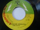 PABLO ROOTS - Reggae Mr. Operator - STEPPING **Listen**