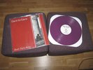 FACE TO FACE - Don't turn away - purple 1/319 - nofx