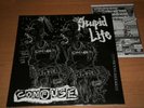 CONFUSE Stupid Life 12