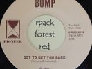 THE BUMP - Got To Get You Back -  PIONEER - Michigan 45