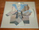 SEALED Pink Floyd Wish You Were Here Picture Disc LP