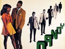 LP Vinyl Album - Dandy - Rock Steady With