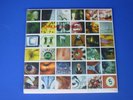 PEARL JAM  No Code LP  OOP w/sticker and  inserts  rare