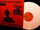 1970 Revolutionary YAMA & THE KAMA DUSTERS garage psych