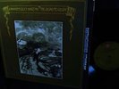 1970 JOHN & BEVERLEY MARTYN   ROAD TO RUIN   PENTANGLE