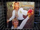 les Scarabees-JERRY DE VILLIERS FUNK ACID POP PSYCH EX+