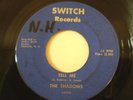 HEAR IT RARE NC SURF GARAGE The Shadows Switch 45