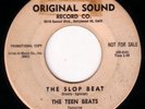 WILD ROCKABILLY GTR. 45 TEEN BEATS CALIFF BOOGIE