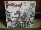 Black Knight: Master Of Disaster MLP 1985