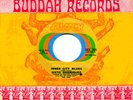 SIXTO RODRIGUEZ INNER CITY BLUES DJ 45 ? DENNIS COFFEY