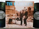 Wildhearts 