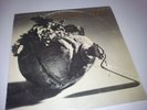 NATTURA  ICELAND PSYCH PROG POKORA 04 STARS