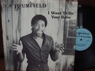La Brumfield RARE Modern Soul private press LP