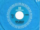 WINSTONS Amen Brother CLASSIC FUNK 45 BREAKS * Listen