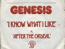 GENESIS I know what I like French SP 45 CHARISMA