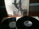 Whipping Post - 