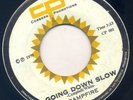 RARE PRIVATE '79 MODERN SOUL GOING DOWN SLOW CAMPFIRE ?