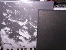 Grouper Roy Montgomery split 12