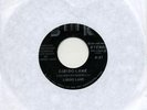Libido Lane 45 - Rare New Wave Synth ?Hear