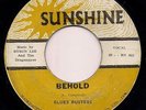 BLUES BUSTERS BEHOLD RARE SUNSHINE JA SKA 7