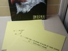 MOGWAI the hawk is howling 2x LP RARE & MINT slint mc5