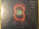 PEARL JAM Vinyl *BINAURAL* PJ20 SEALED 2 LP OOP Record
