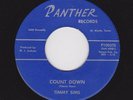TEXAS FUNK TIMMY SIMS Count Down PANTHER M- LISTEN NOW