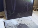 Loma Prieta - Life / Less CLEAR SPLATTER punch converge