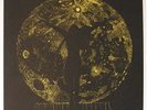 Cold Sun: Dark Shadows - LP - N.M. - MEGA RAR