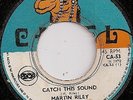 MARTIN RILEY / CATCH THIS SOUND / LISTEN