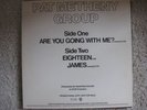 PAT METHENY GROUP-ARE YOU GOING WITH ME-12 COSMIC PROMO