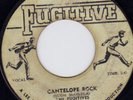 JOE JOE & FUGITIVES - THE LECTURE + CANTELOPE ROCK ??
