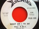 F.B.I. - Day-time Nite-Time - 45 67 garage psych LISTEN