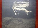 RARE BILL EVANS UNDERCURRENT 1st STEREO JAZZ RECORD LP