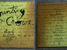 Counting Crows Vinyl Augsut and Everything After UK