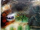 PINK FLOYD A Saucerful Of Secrets LP ORIG Tower SUPERB